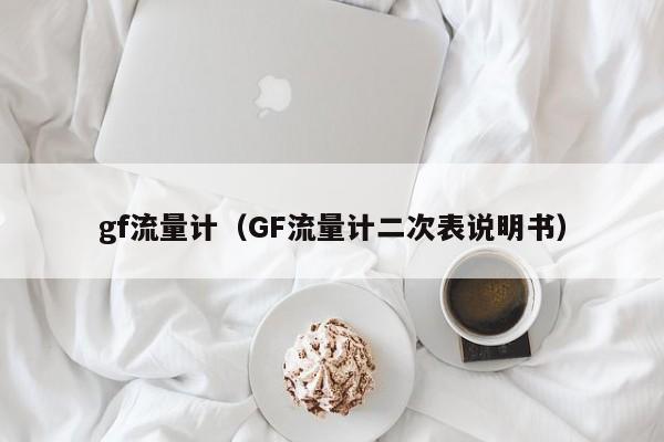 gf流量计（GF流量计二次表说明书）