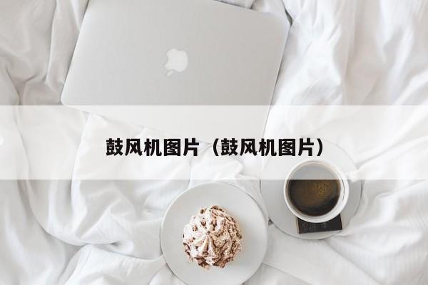 鼓风机图片（鼓风机图片）