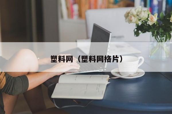 塑料网（塑料网格片）