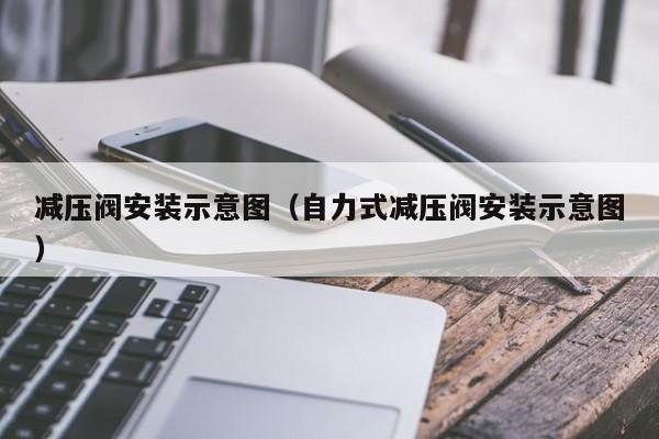 减压阀安装示意图（自力式减压阀安装示意图）